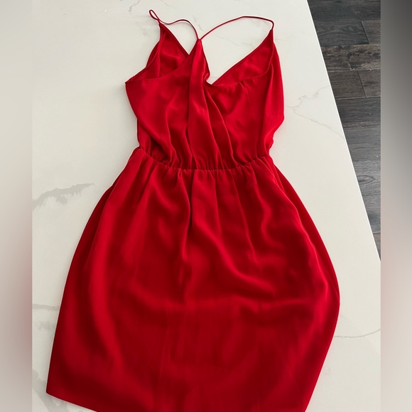 Rory Beca Dress - Picture 2 of 4